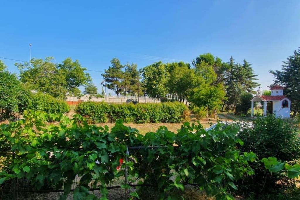 Litochoro Apartment In Estate A1 외부 사진
